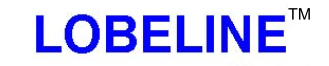 Lobeline Pumps Lobeline Pumps